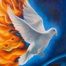Farské oznamy - Nedeľa zoslania Ducha Svätého