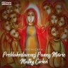 24. máj - Preblahoslavenej Panny Márie, Matky Cirkvi